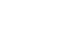 Bonadelle Realty DRE # 02232509